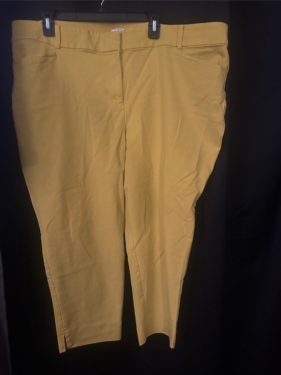LOFT Pants - Loft size 22